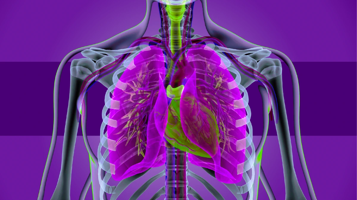 Pourquoi la surveillance des poumons est-elle importante pour la santé  cardiovasculaire ?