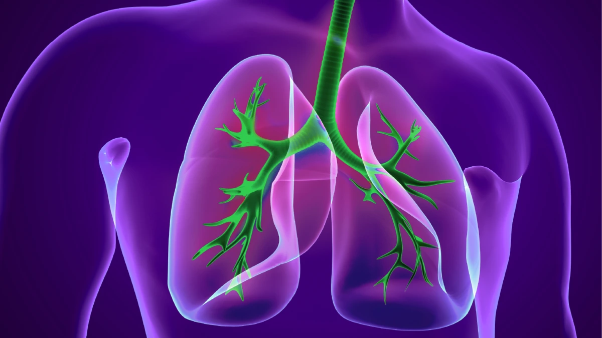 

Can seniors manage  
Anti-inflammatory Diet For Copd  
with better lifestyle? thumbnail